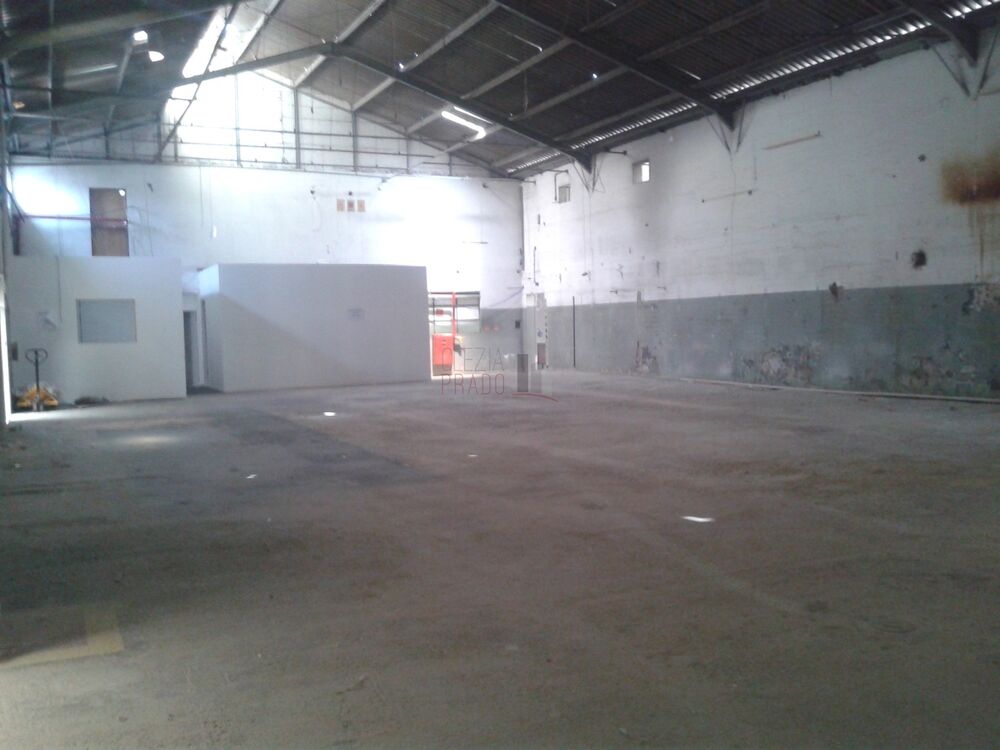 Depósito-Galpão, 1543 m² - Foto 4