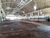Depósito-Galpão, 4800 m² - Foto 1