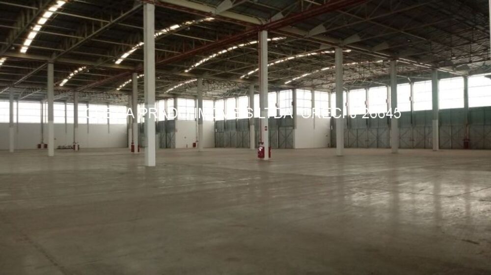 Depósito-Galpão-Armazém para alugar, 103000m² - Foto 3