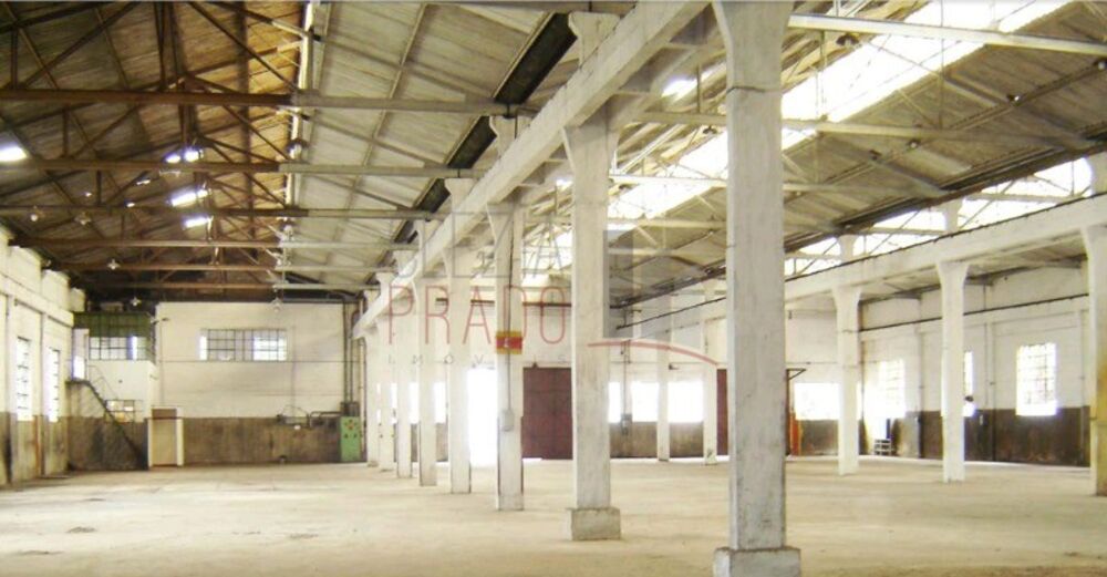 Depósito-Galpão, 26000 m² - Foto 4
