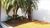 Casa, 2 quartos, 480 m² - Foto 3