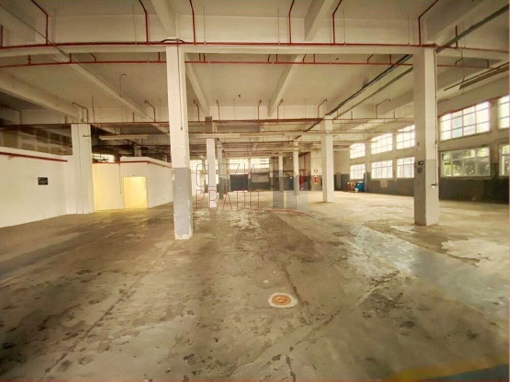 Depósito-Galpão, 5918 m² - Foto 7