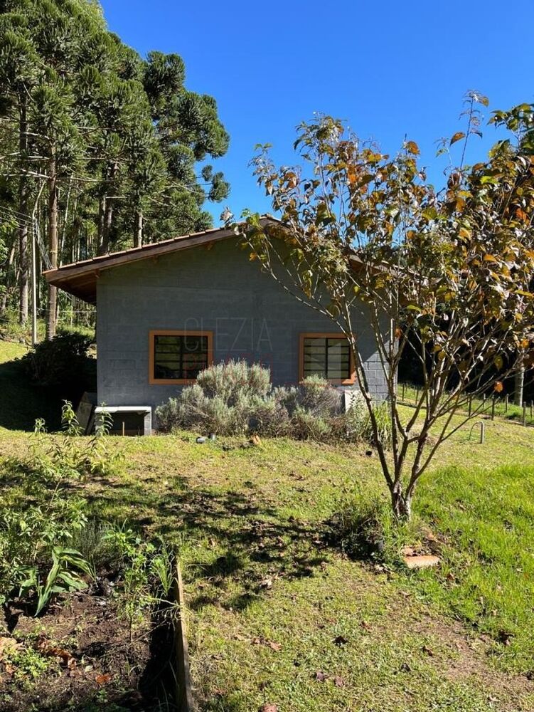Sítio, 4 quartos, 13 hectares - Foto 2