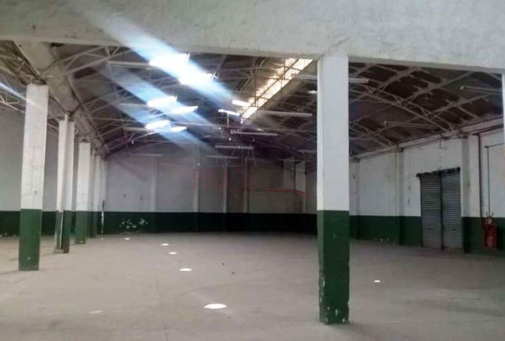 Depósito-Galpão, 5726 m² - Foto 2