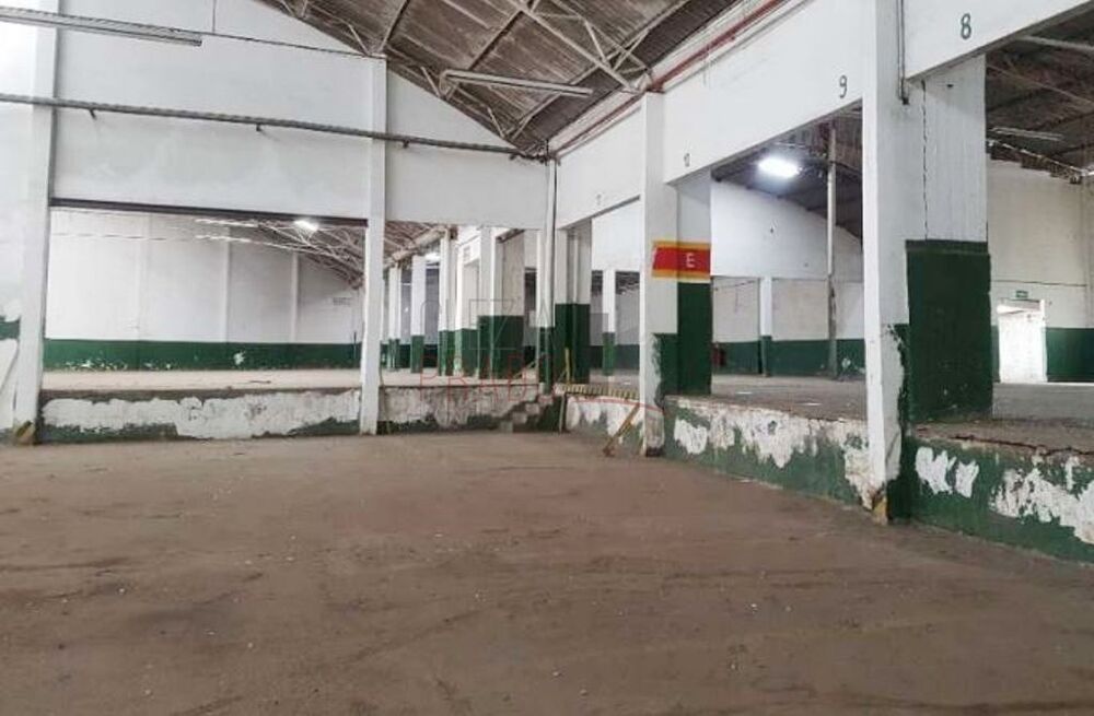Depósito-Galpão, 5726 m² - Foto 4