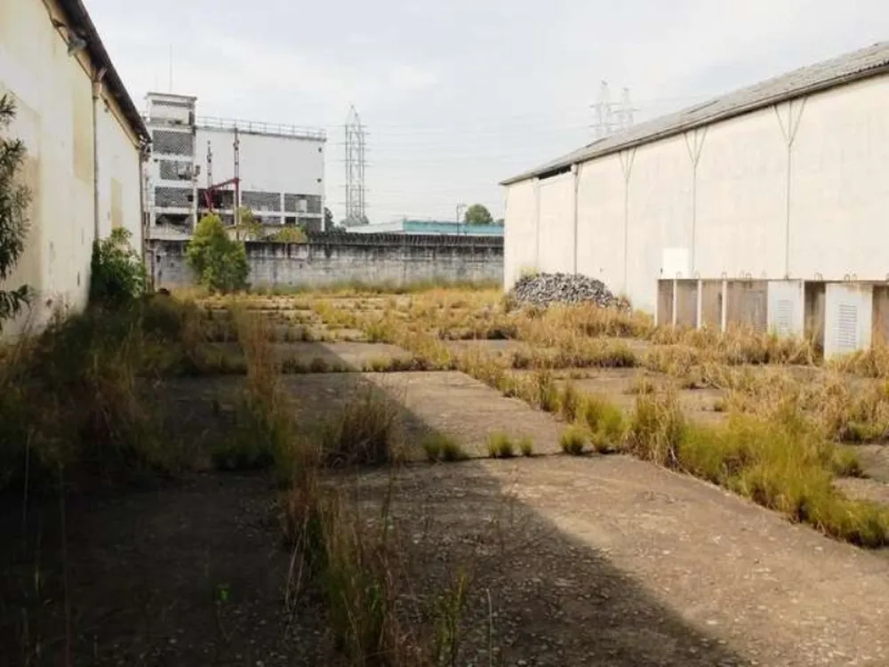 Depósito-Galpão, 11000 m² - Foto 6