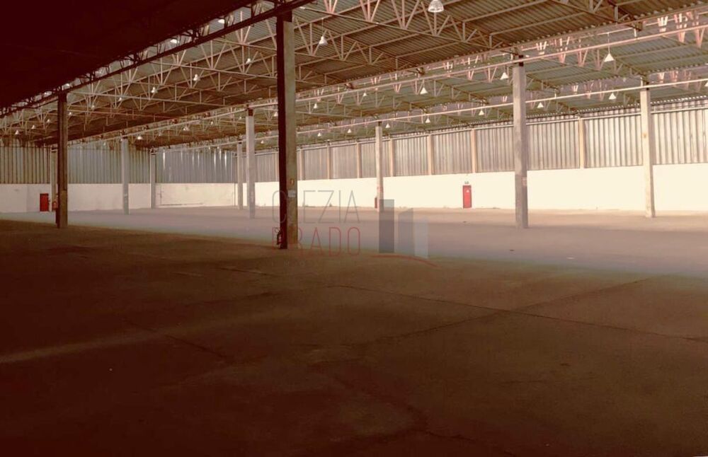 Depósito-Galpão, 7663 m² - Foto 6
