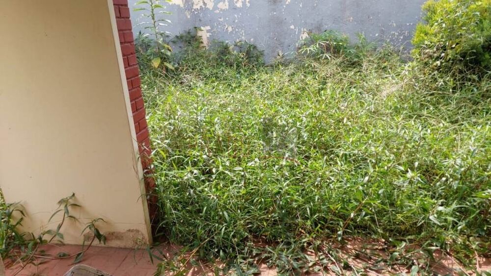 Prédio Inteiro, 200 m² - Foto 4
