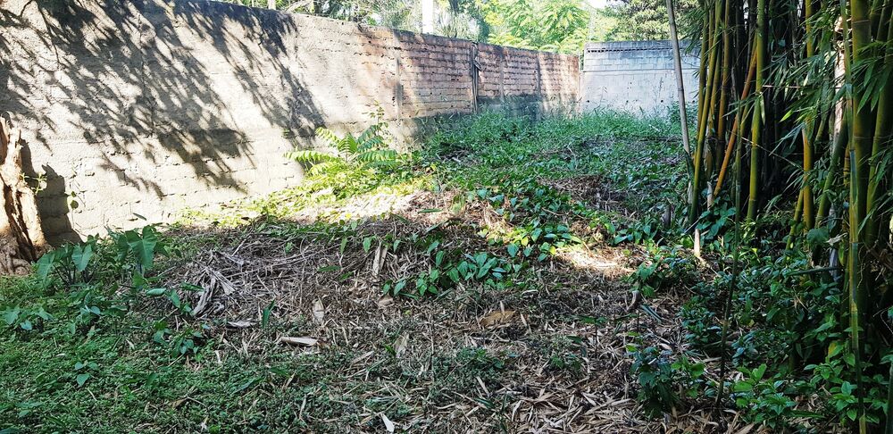 Terreno, 1000 m² - Foto 4