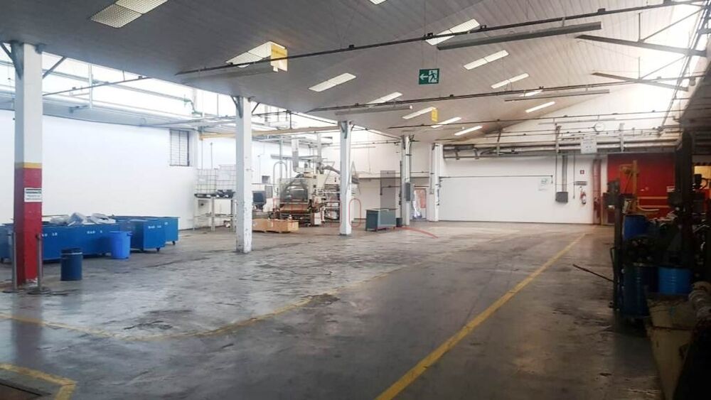 Depósito-Galpão, 11312 m² - Foto 3