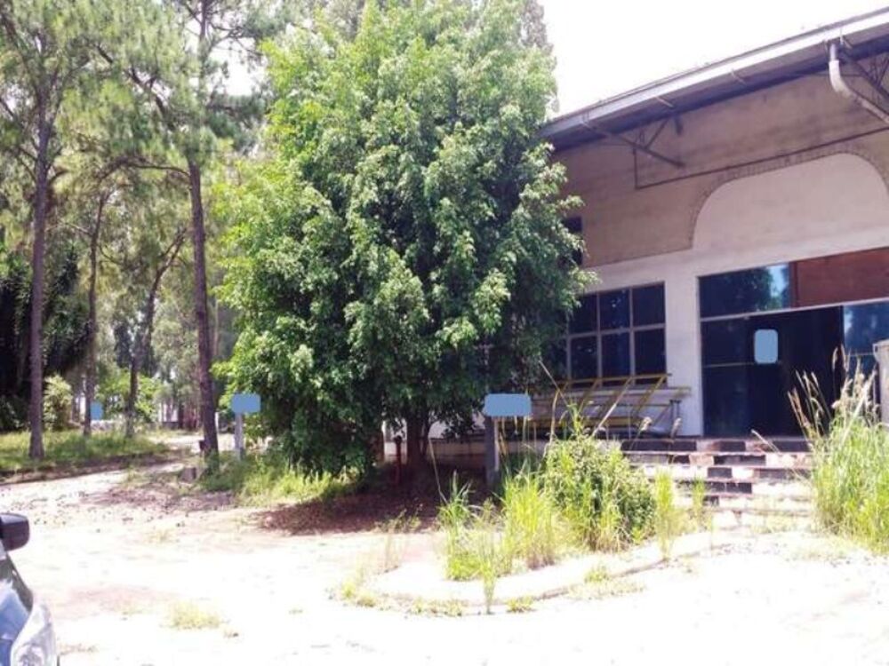 Depósito-Galpão, 30000 m² - Foto 6