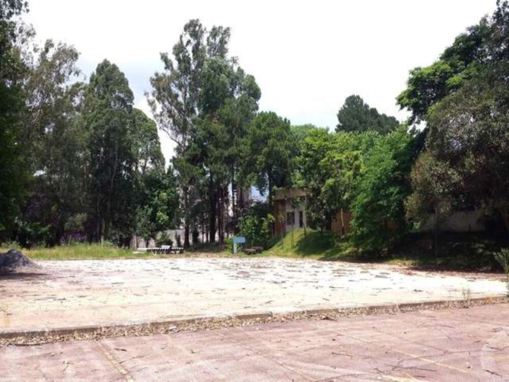Depósito-Galpão, 30000 m² - Foto 3