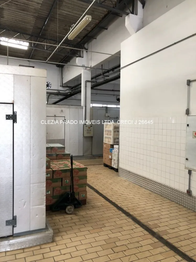 Depósito-Galpão, 2700 m² - Foto 4