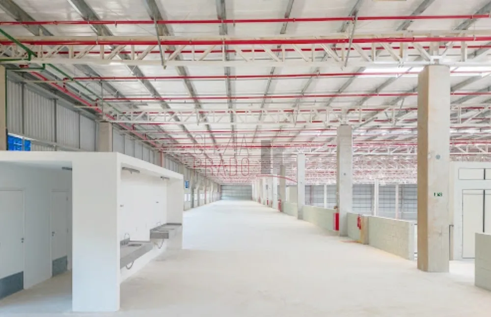 Depósito-Galpão, 2719 m² - Foto 12