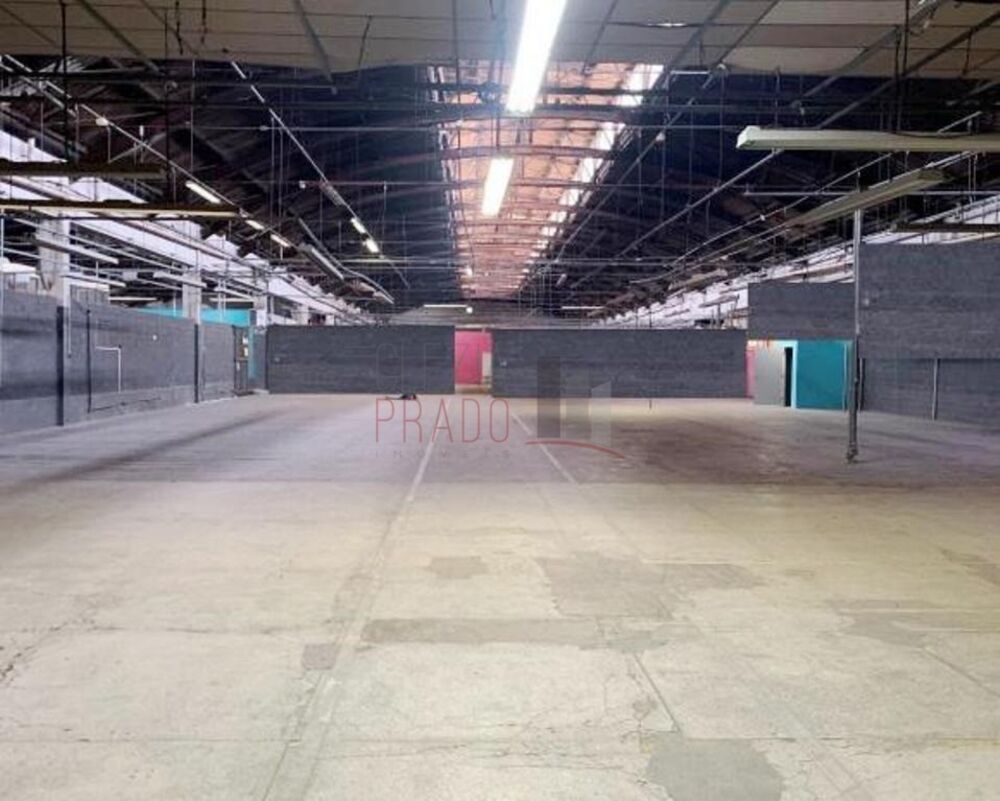 Depósito-Galpão, 6219 m² - Foto 4
