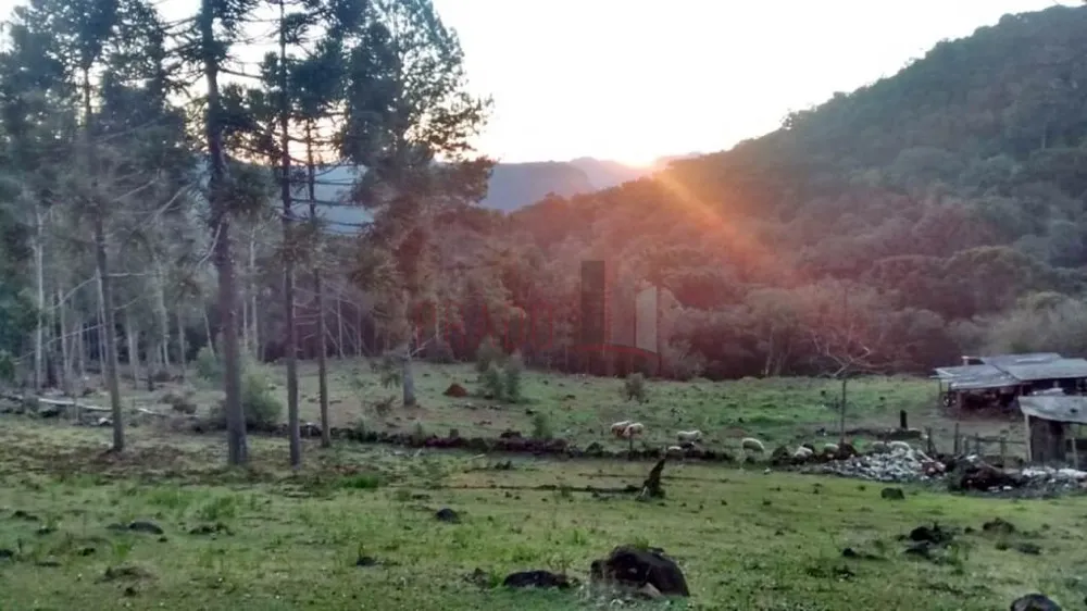 Terreno, 3 hectares - Foto 11