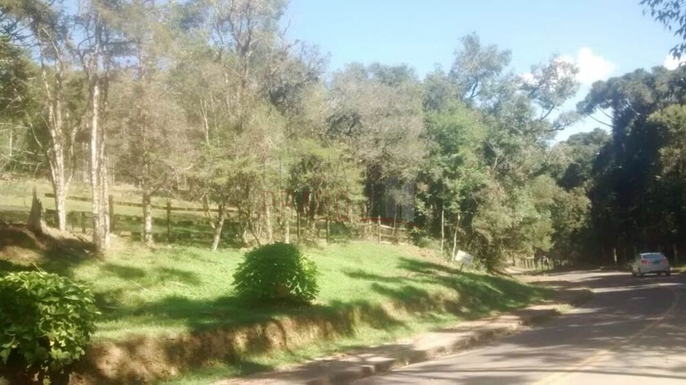 Terreno, 3 hectares - Foto 2