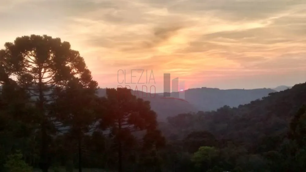 Terreno, 3 hectares - Foto 1