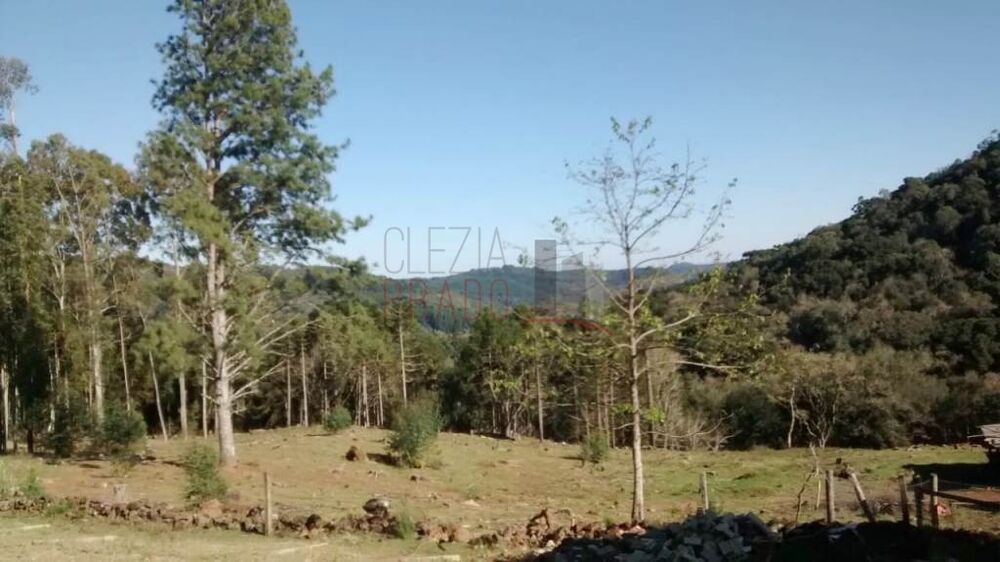 Terreno, 3 hectares - Foto 3