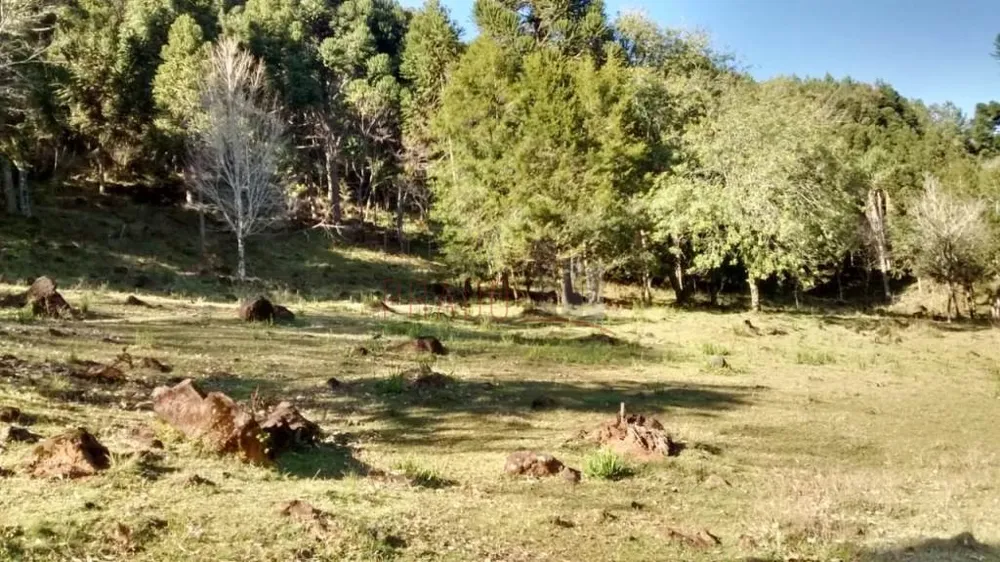 Terreno, 3 hectares - Foto 8