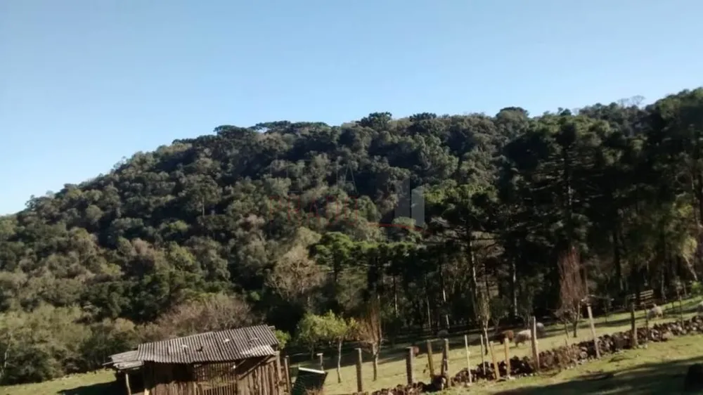 Terreno, 3 hectares - Foto 6