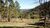 Terreno, 3 hectares - Foto 4