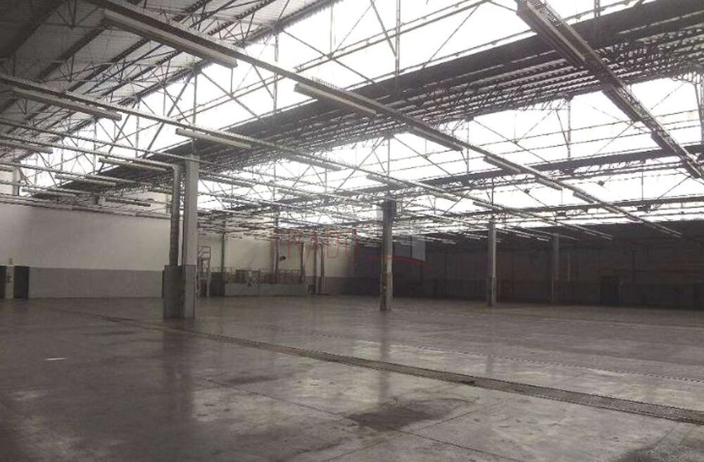 Depósito-Galpão, 27571 m² - Foto 9