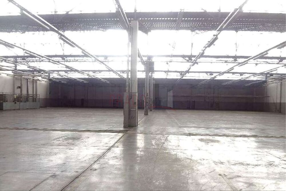 Depósito-Galpão, 27571 m² - Foto 8