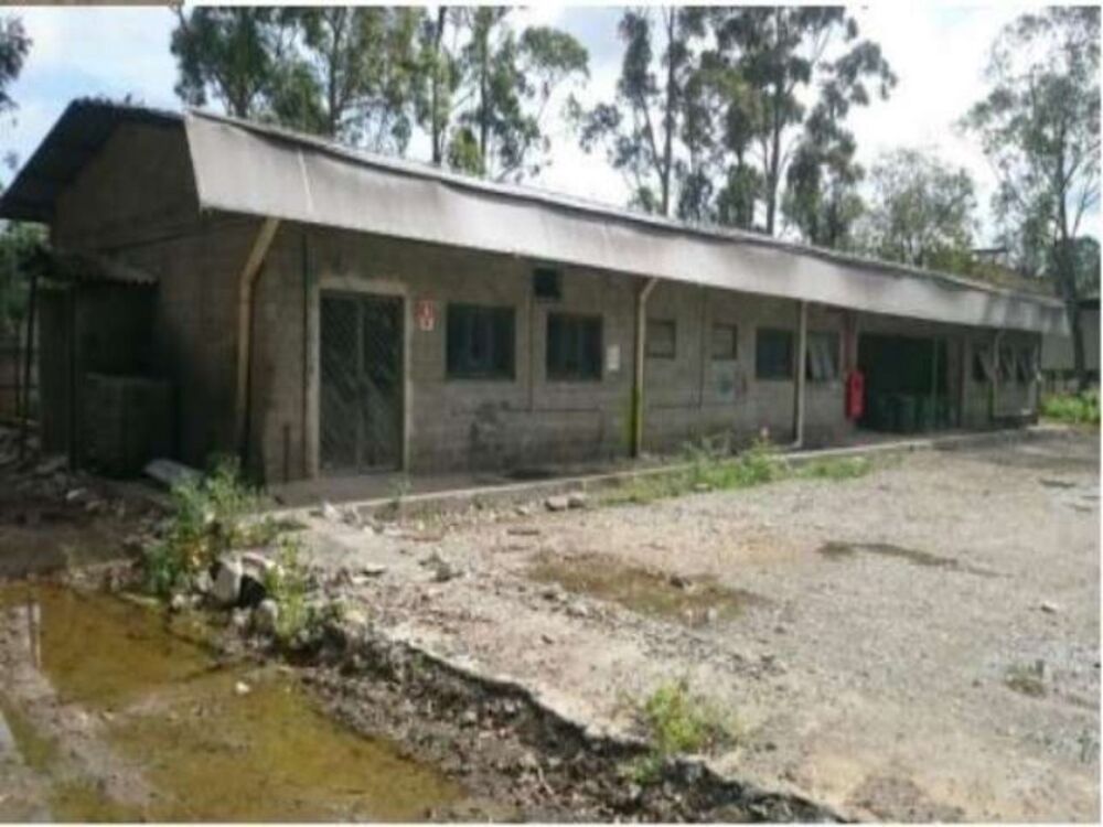 Depósito-Galpão, 10662 m² - Foto 1