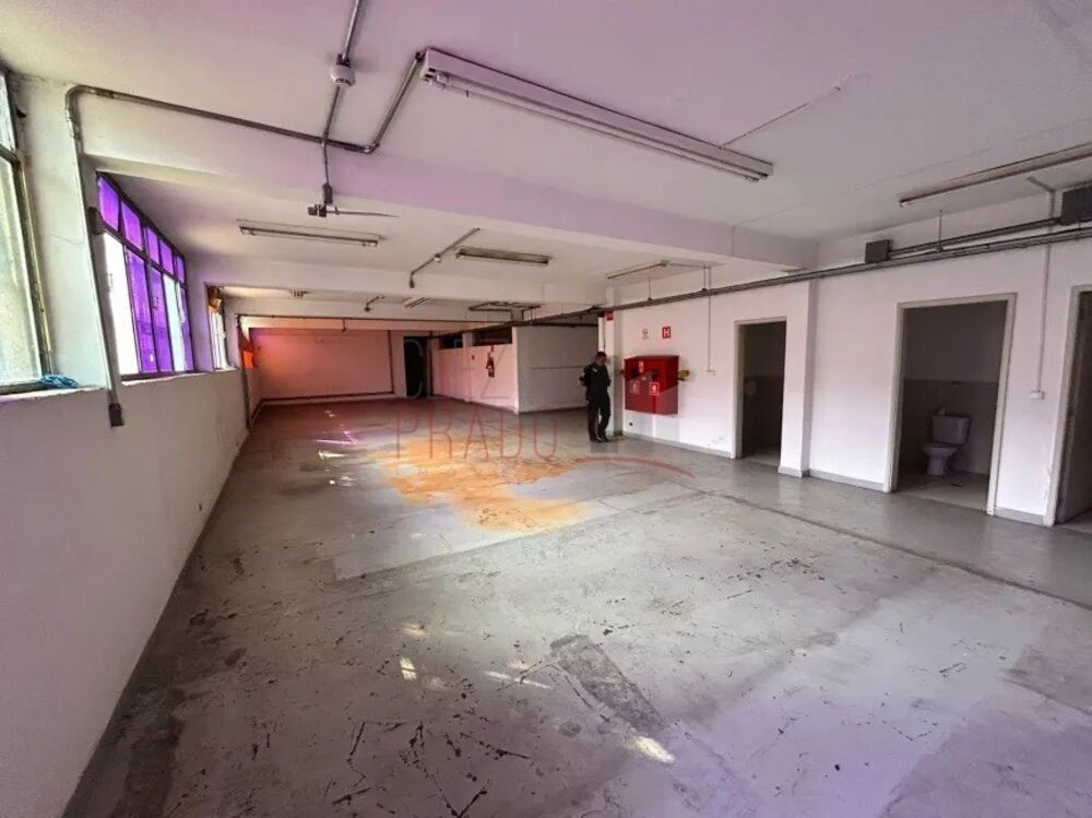 Depósito-Galpão, 5368 m² - Foto 5