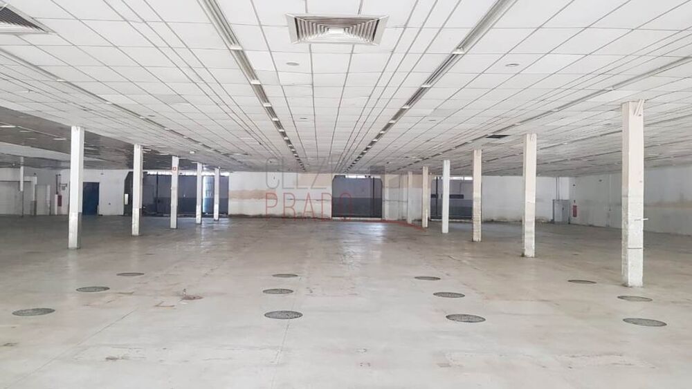 Depósito-Galpão, 7761 m² - Foto 3
