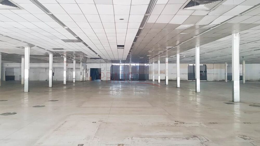 Depósito-Galpão, 7761 m² - Foto 4