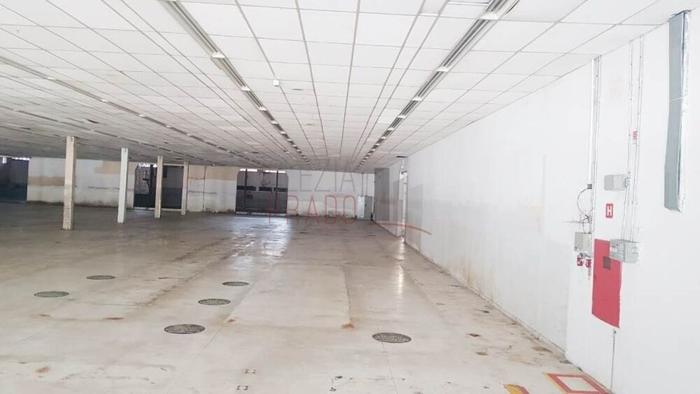 Depósito-Galpão, 7761 m² - Foto 2