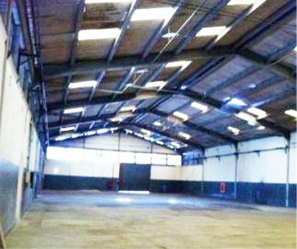 Depósito-Galpão, 11430 m² - Foto 4