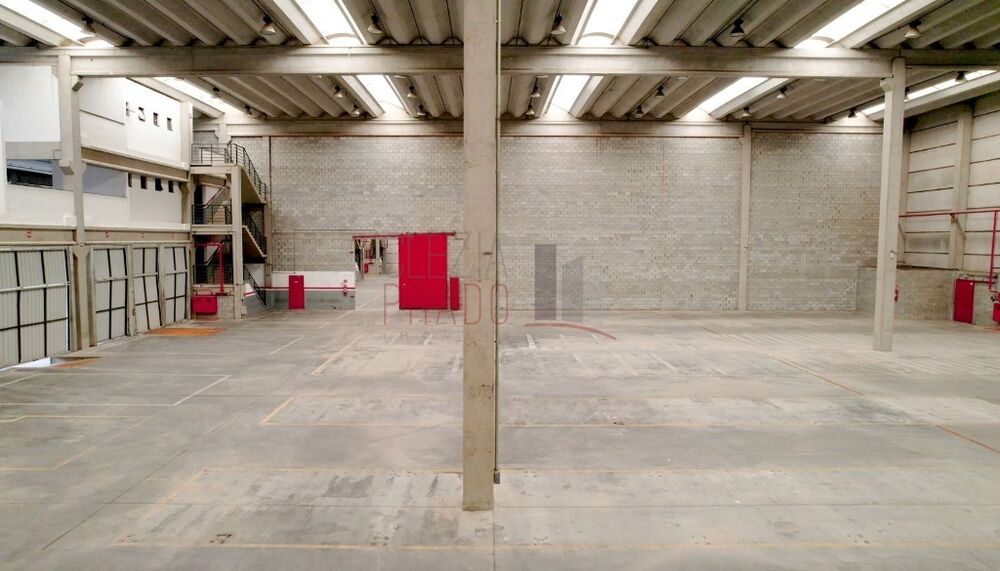 Depósito-Galpão, 5395 m² - Foto 4