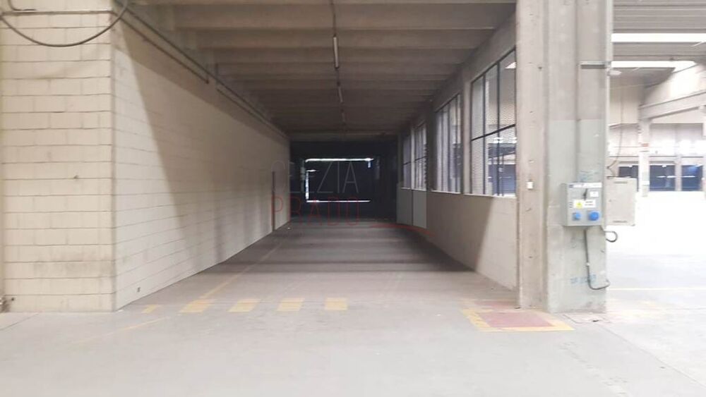 Depósito-Galpão, 30000 m² - Foto 4