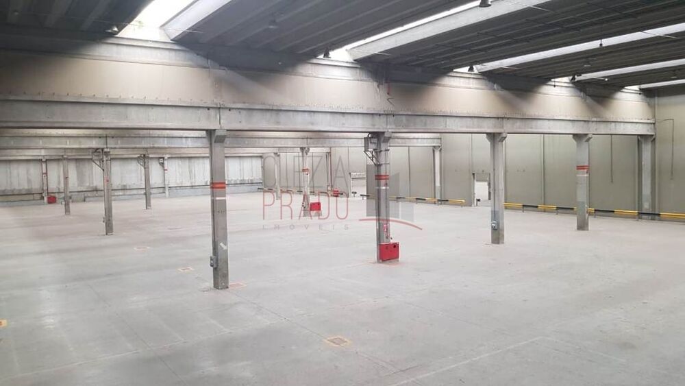 Depósito-Galpão, 30000 m² - Foto 24