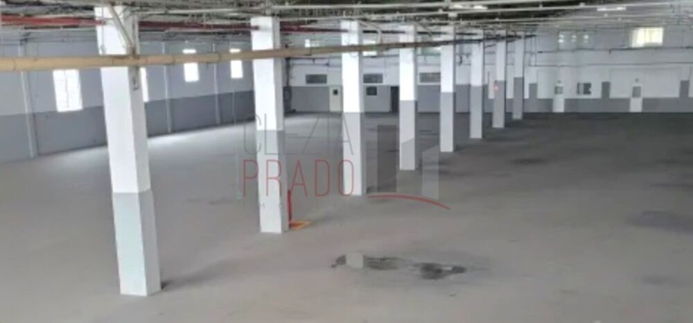 Depósito-Galpão, 10000 m² - Foto 11