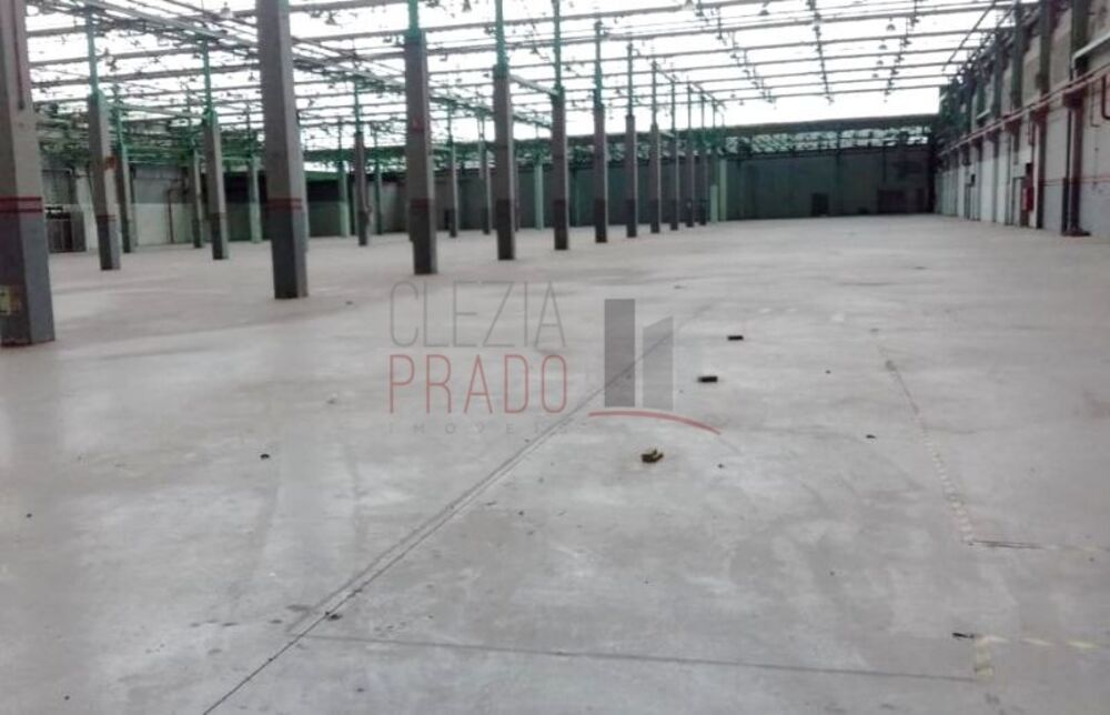 Depósito-Galpão, 25000 m² - Foto 14