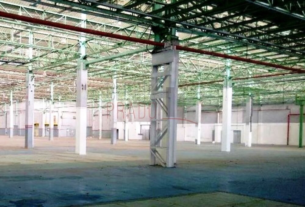 Depósito-Galpão, 25000 m² - Foto 10