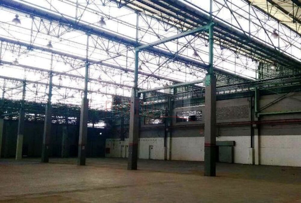 Depósito-Galpão, 25000 m² - Foto 8