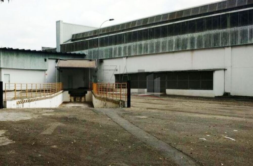 Depósito-Galpão, 25000 m² - Foto 6