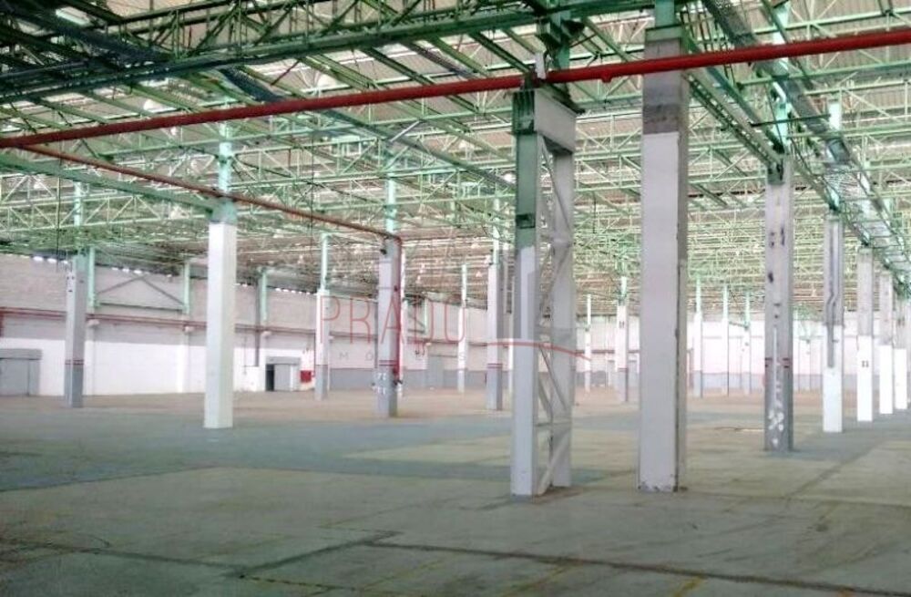 Depósito-Galpão, 25000 m² - Foto 15