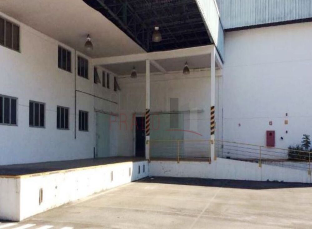 Depósito-Galpão, 25000 m² - Foto 4