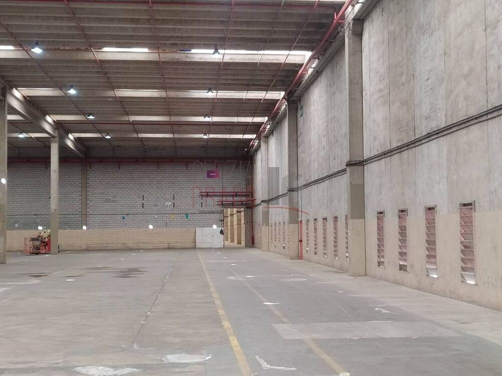 Depósito-Galpão, 19143 m² - Foto 12