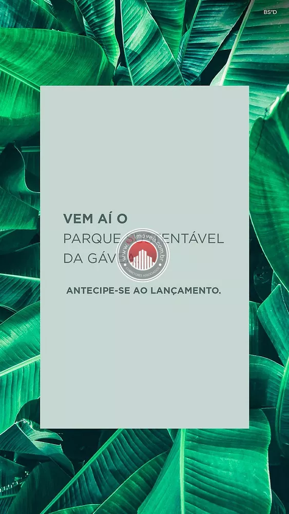Apartamento, 3 quartos, 90 m² - Foto 11