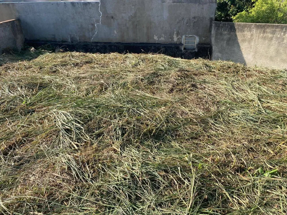 Terreno, 573 m² - Foto 3