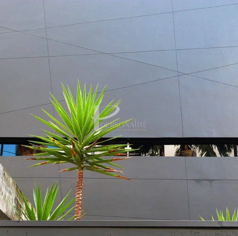 Loja-Salão, 220 m² - Foto 2