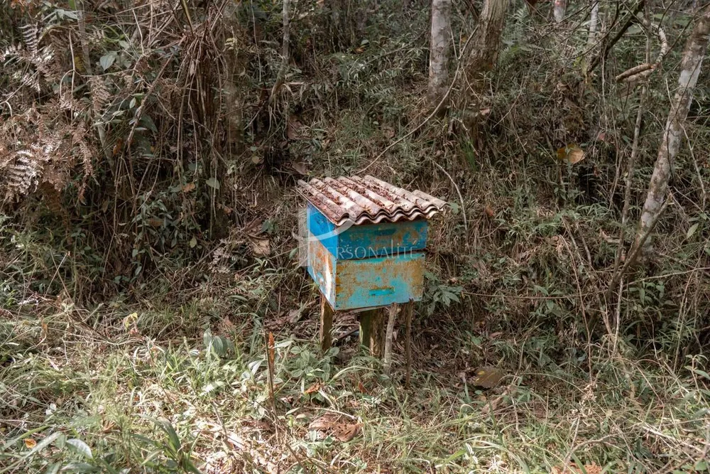 Terreno, 85 hectares - Foto 3