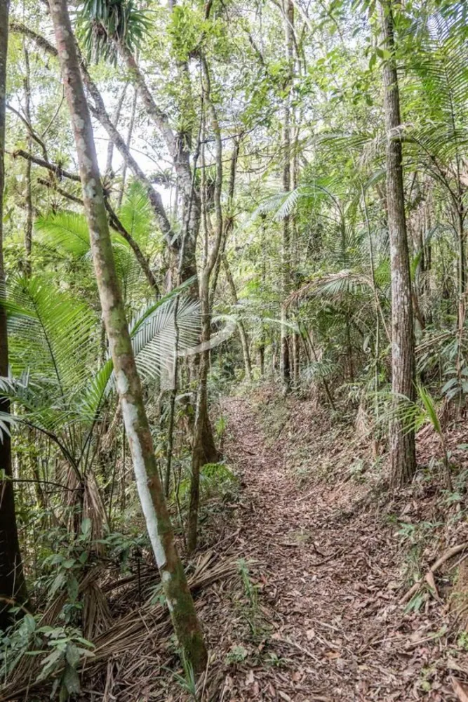 Terreno, 85 hectares - Foto 4